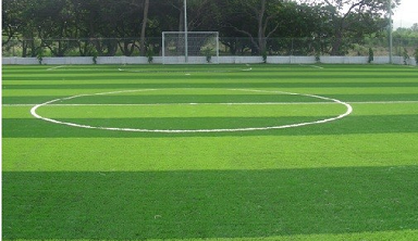 Linked Image